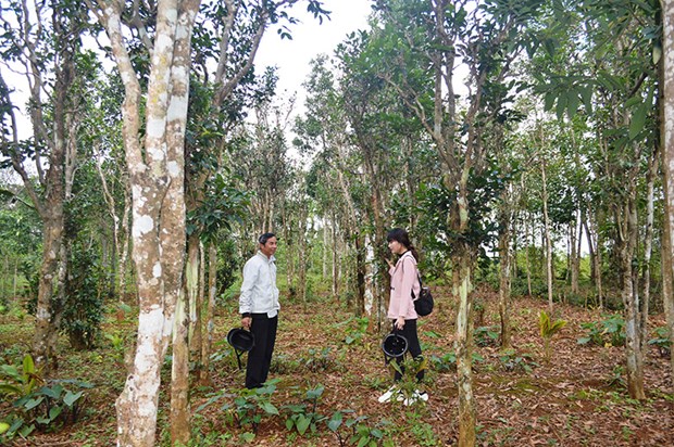 Chủ động giải pháp phục hồi phát triển Du lịch Quảng Trị trong trạng thái bình thường mới